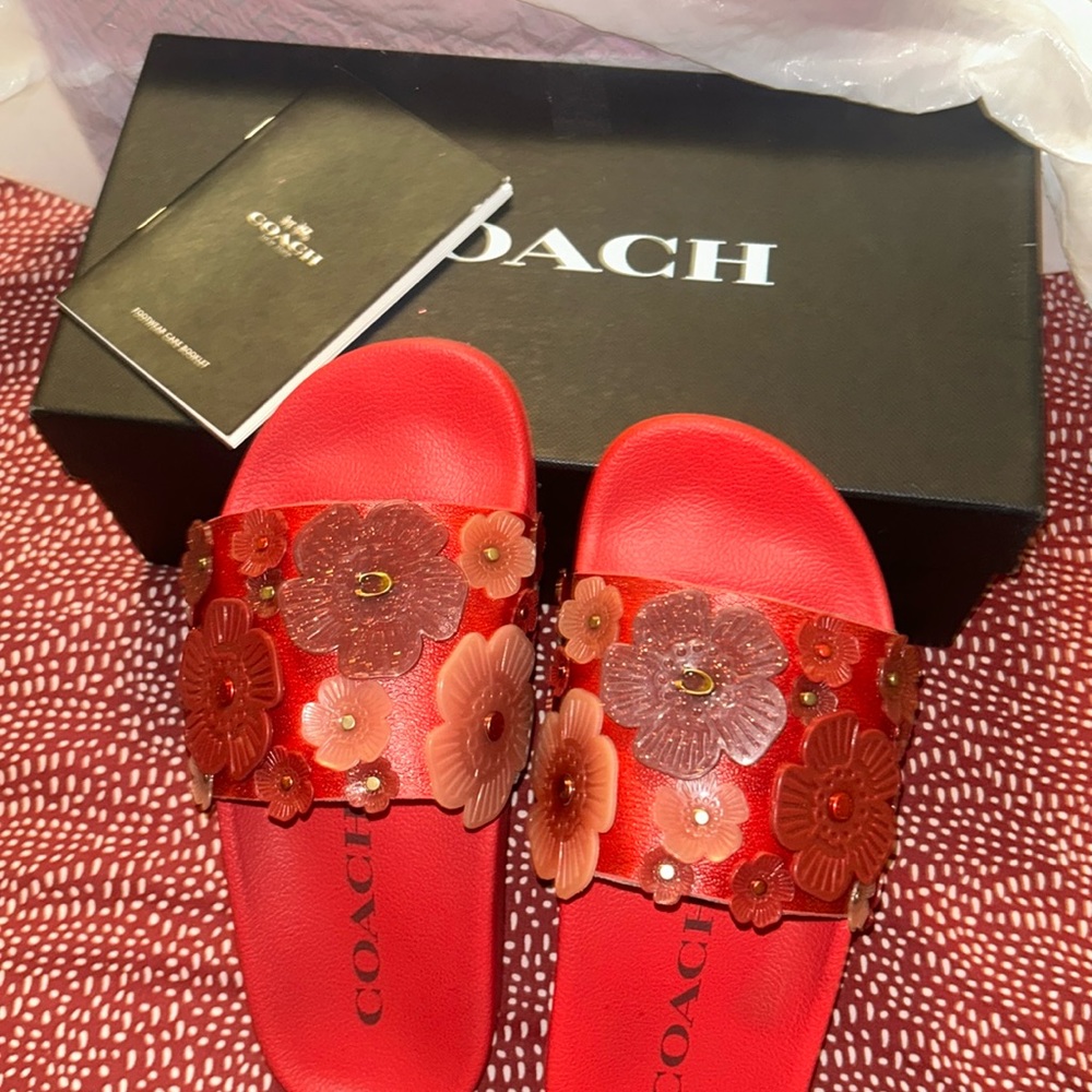 Coach sandals